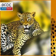 Зоология. (Цифровая база изображений) - fgospostavki.ru - Владивосток