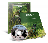 Электронное наглядное пособие «Птицы» - fgospostavki.ru - Владивосток