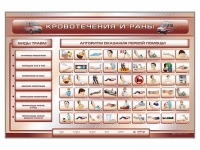 Трехсекционный базовый комплект "Травмы. Кровотечения. Ожоги" для учащихся общеобразовательных учреждений - fgospostavki.ru - Владивосток