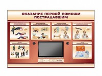 Многофункциональный интерактивный стенд-тренажер "Оказание первой помощи пострадавшим" для учащихся общеобразовательных учреждений - fgospostavki.ru - Владивосток