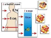 Модель-аппликация "Явление радиоактивности" (ламинированная) - fgospostavki.ru - Владивосток