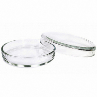 Чашка Петри 100х20 - fgospostavki.ru - Владивосток