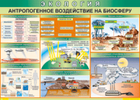 Таблица "Антропогенное воздействие на биосферу" (100х140 сантиметров, винил) - fgospostavki.ru - Владивосток