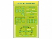 Стенды "Схемы по экономике" - fgospostavki.ru - Владивосток