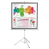 Экран на штативе DSKD-1104 - fgospostavki.ru - Владивосток