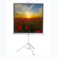 Экран на штативе DSKD-1105  - fgospostavki.ru - Владивосток