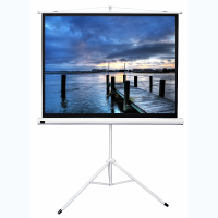 Экран на штативе DSKD-4302 - fgospostavki.ru - Владивосток