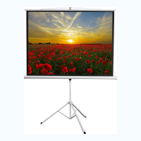 Экран на штативе DSKD-4303 - fgospostavki.ru - Владивосток