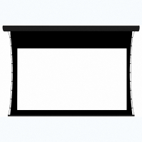 Экран настенный с электроприводом DSTPX-16916 - fgospostavki.ru - Владивосток