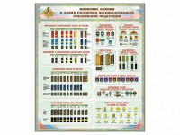 Стенд "Воинские звания и знаки различия военнослужащих Российской Федерации" - fgospostavki.ru - Владивосток