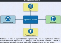 Интерактивные курсы. Биология 5 класс. Базовый - fgospostavki.ru - Владивосток