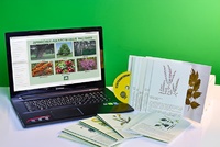 Гербарий натурально-интерактивный "Лекарственные растения" - fgospostavki.ru - Владивосток