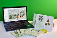 Гербарий натурально-интерактивный "Деревья и кустарники" - fgospostavki.ru - Владивосток