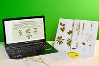 Гербарий натурально-интерактивный "Морфология растений" - fgospostavki.ru - Владивосток