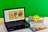 Коллекция натурально-интерактивная "Раковины моллюсков" - fgospostavki.ru - Владивосток