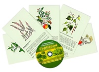 Интерактивный наглядный комплекс "Гербарий "Для начальной школы" - fgospostavki.ru - Владивосток