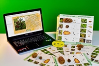 Коллекция натурально-интерактивная "Шишки, плоды, семена деревьев и кустарников" - fgospostavki.ru - Владивосток