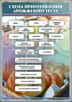 Стенд "Схема приготовления дрожжевого теста" - fgospostavki.ru - Владивосток