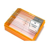 Набор готовых микропрепаратов (зоология) - fgospostavki.ru - Владивосток