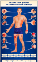 Электрифицированный стенд-тренажер "Травматизм и меры оказания первой помощи" - fgospostavki.ru - Владивосток