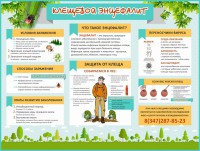 Стенд "Клещевой энцефалит" - fgospostavki.ru - Владивосток