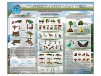 Стенд "Как выжить в суровых условиях" - fgospostavki.ru - Владивосток