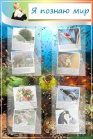 Стенд "Я познаю мир" - fgospostavki.ru - Владивосток