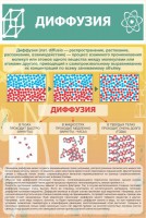 Стенд "Диффузия" - fgospostavki.ru - Владивосток