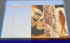 Коллекция "Палеонтологическая" (16 образцов) - fgospostavki.ru - Владивосток