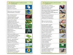 Комплект карточек (10) "Обучающий калейдоскоп. Природа" - fgospostavki.ru - Владивосток