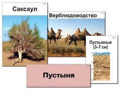 Модель-аппликация "Природные зоны России" (ламинированная) - fgospostavki.ru - Владивосток