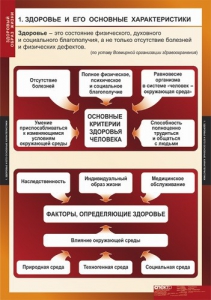 Комплект таблиц. ОБЖ. Здоровый образ жизни. - fgospostavki.ru - Владивосток
