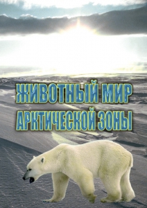 DVD "Животный мир Арктической зоны" - fgospostavki.ru - Владивосток