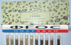 Коллекция "Семена к гербарию для начальной школы" (11 видов) - fgospostavki.ru - Владивосток