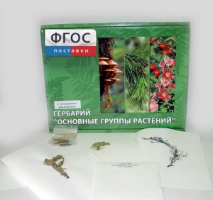 Гербарий "Основные группы растений" (52 листа) - fgospostavki.ru - Владивосток