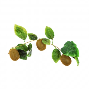 Ветка муляжей "Киви" - fgospostavki.ru - Владивосток