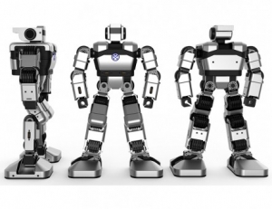 Образовательная платформа для обучения программирования гуманоидный робот Yanshee - fgospostavki.ru - Владивосток