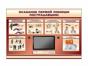 Многофункциональный интерактивный стенд-тренажер "Оказание первой помощи пострадавшим" для учащихся общеобразовательных учреждений - fgospostavki.ru - Владивосток