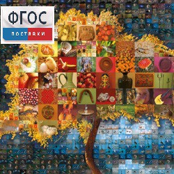 Начальная школа. Иностранный язык. (Цифровая база изображений) - fgospostavki.ru - Владивосток