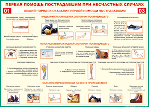 Таблица "Общий порядок оказания первой помощи пострадавшим" (100х140 сантиметров, винил) - fgospostavki.ru - Владивосток