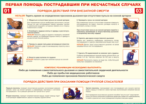 Таблица "Порядок действий при внезапной смерти" (100х140 сантиметров, винил) - fgospostavki.ru - Владивосток