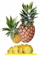 Комплект карточек "Запоминай, играй, считай" - Фрукты - fgospostavki.ru - Владивосток