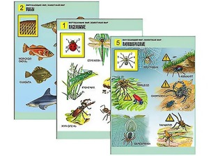 Комплект таблиц "Окружающий мир. Животный мир" (8 таблиц, А1, ламинированные) - fgospostavki.ru - Владивосток