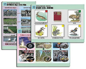 Комплект таблиц "Окружающий мир. Экология" (6 таблиц, А1, ламинированные) - fgospostavki.ru - Владивосток