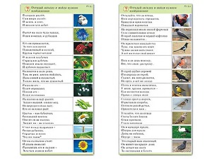 Комплект карточек (10) "Обучающий калейдоскоп. Природа" - fgospostavki.ru - Владивосток