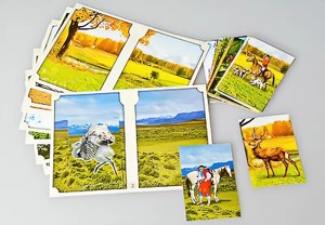 Настольно-печатная игра "Вокруг света" - fgospostavki.ru - Владивосток