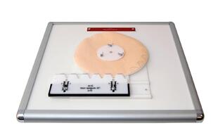 Комплекс "Изучение зубьев" - fgospostavki.ru - Владивосток