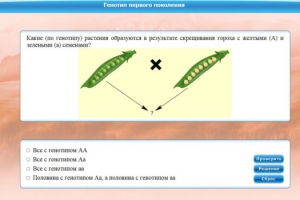 Интерактивные курсы. Биология 11 класс. Базовый. - fgospostavki.ru - Владивосток