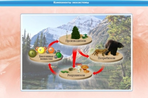 Интерактивные курсы. Биология 7 класс. Базовый. - fgospostavki.ru - Владивосток