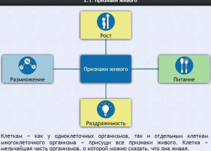 Интерактивные курсы. Биология 5 класс. Базовый - fgospostavki.ru - Владивосток